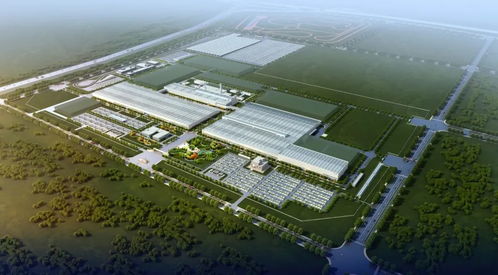 疫情冲击下,新能源车市能靠 自救 迎来曙光吗 中国汽车报
