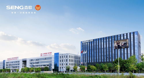 集成灶品牌哪个好 不断攻坚技术,森歌成就更好的厨房生活