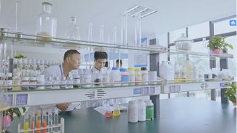 广东省城市建设技师学院