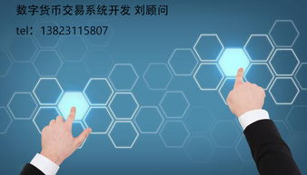 q币 q币的分类