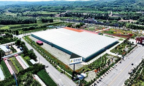 黄土地绽放美丽经济 临夏百益现代农业科技有限责任公司发展侧记
