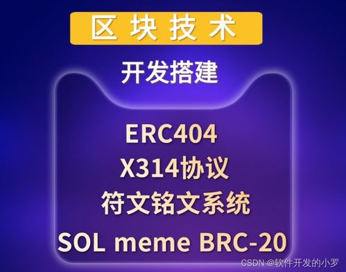 区块链技术开发 x314协议 智能合约 公链搭建 钱包开发