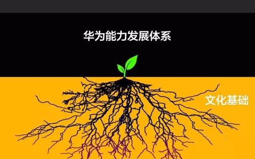 华为管理者培养完整路径图 建议收藏