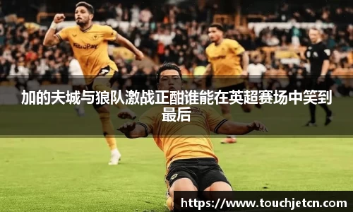 加的夫城与狼队激战正酣谁能在英超赛场中笑到最后